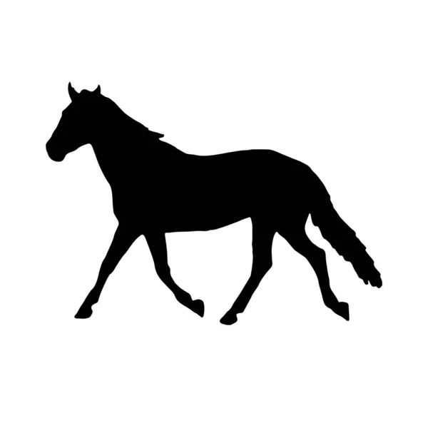 Cavalo Silhueta Preta Ilustração Vetorial —  Vetores de Stock