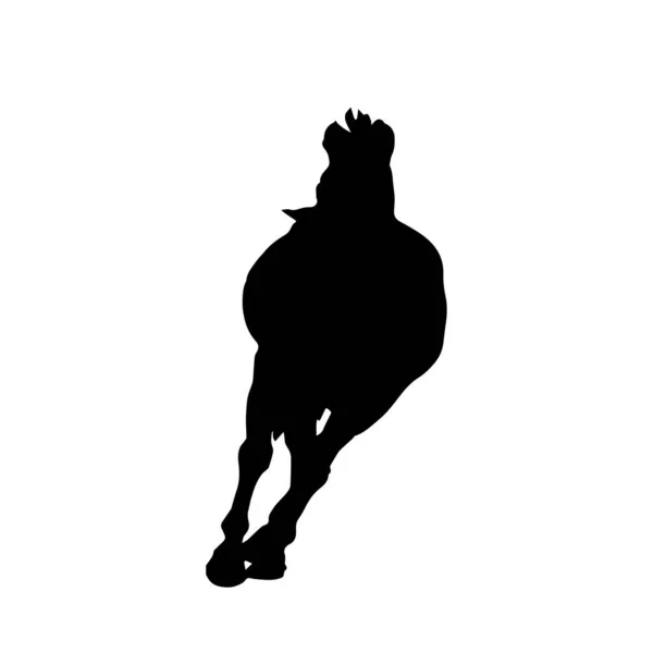 Cavalo Silhueta Preta Ilustração Vetorial — Vetor de Stock