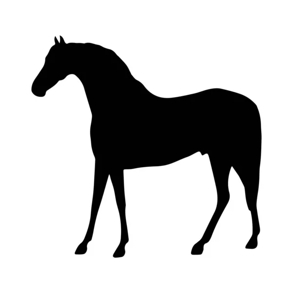 Paard Zwart Silhouet Vector Illustratie — Stockvector