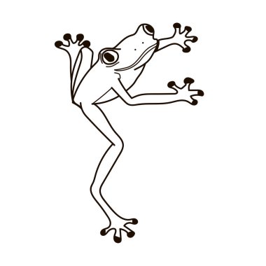 Kurbağa, Kurbağa simgesi, Tropikal kurbağa, SVG Vektörü