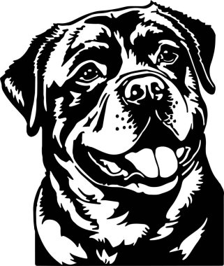 Rottweiler köpek başı Vektör illüstrasyonu, SVG