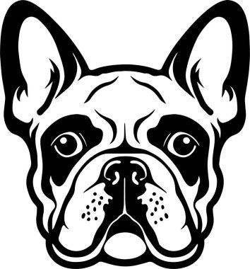 Fransız buldog yüzü beyaz arka planda izole edilmiş, SVG, Vector, Illustration