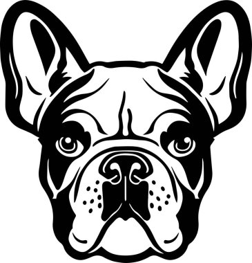 Fransız buldog yüzü beyaz arka planda izole edilmiş, SVG, Vector, Illustration
