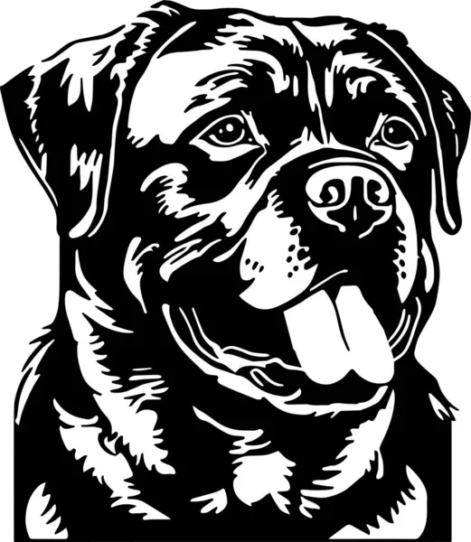 Rottweiler köpek başı Vektör illüstrasyonu, SVG