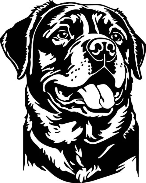 Rottweiler Dog Head Vector Illustration Svg — Stock Vector