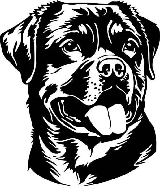 stock vector Rottweiler dog head Vector illustration, SVG