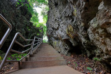 Kenting Ulusal Orman Dinlenme Alanı Hengchun Kasabası, Pingtung County, Tayvan