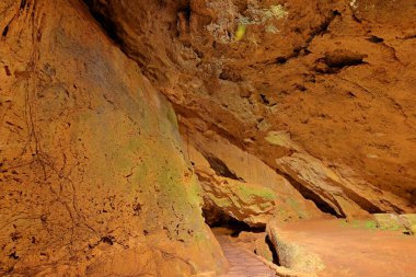 Kenting Ulusal Orman Dinlenme Alanı Hengchun Kasabası, Pingtung County, Tayvan