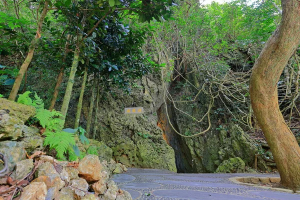 Kenting National Forest Recreation Área Hengchun Township Condado Pingtung Taiwán —  Fotos de Stock