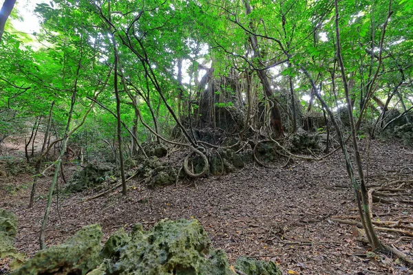 Kenting National Forest Recreation Area Hengchun Township Contea Pingtung Taiwan — Foto Stock