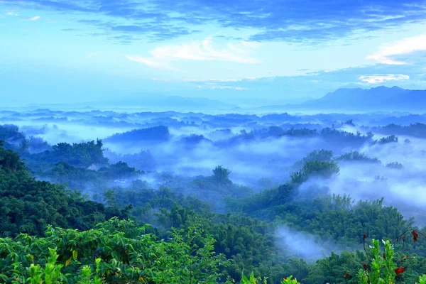 台南市Zuozhen地区Erliaoの山と木の美しい日の出霧 ロイヤリティフリーのストック画像