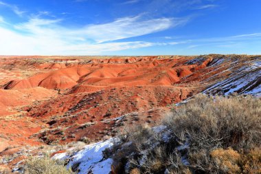 Taşlaşmış Orman Ulusal Parkı, Arizona, ABD 'de birçok taşlaşmış ağaç gövdesi ve fosili olan doğal bir cazibe merkezi..