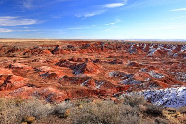 Taşlaşmış Orman Ulusal Parkı, Arizona, ABD 'de birçok taşlaşmış ağaç gövdesi ve fosili olan doğal bir cazibe merkezi..