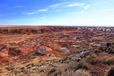 Taşlaşmış Orman Ulusal Parkı, Arizona, ABD 'de birçok taşlaşmış ağaç gövdesi ve fosili olan doğal bir cazibe merkezi..