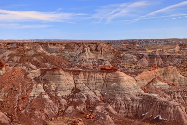 Taşlaşmış Orman Ulusal Parkı, Arizona, ABD 'de birçok taşlaşmış ağaç gövdesi ve fosili olan doğal bir cazibe merkezi..