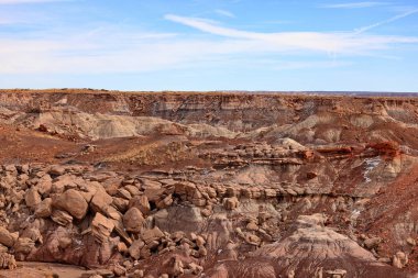 Taşlaşmış Orman Ulusal Parkı, Arizona, ABD 'de birçok taşlaşmış ağaç gövdesi ve fosili olan doğal bir cazibe merkezi..