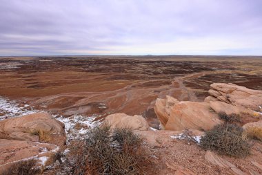 Taşlaşmış Orman Ulusal Parkı, Arizona, ABD 'de birçok taşlaşmış ağaç gövdesi ve fosili olan doğal bir cazibe merkezi..