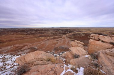 Taşlaşmış Orman Ulusal Parkı, Arizona, ABD 'de birçok taşlaşmış ağaç gövdesi ve fosili olan doğal bir cazibe merkezi..