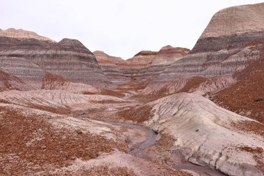 Blue Mesa Scenic Trail, Petrified Forest National Park, Arizona, ABD