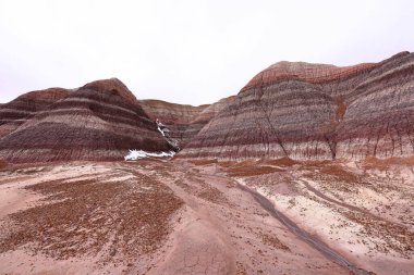 Blue Mesa Scenic Trail, Petrified Forest National Park, Arizona, ABD