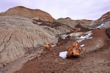 Blue Mesa Scenic Trail, Petrified Forest National Park, Arizona, ABD