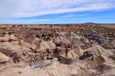Taşlaşmış Orman Ulusal Parkı, Arizona, ABD 'de birçok taşlaşmış ağaç gövdesi ve fosili olan doğal bir cazibe merkezi..