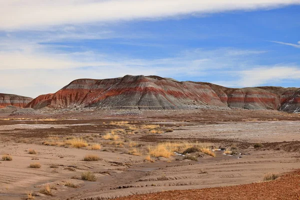 Petrified Forest National Park Natural Attraction Place Many Petrified Tree — Stock Photo, Image