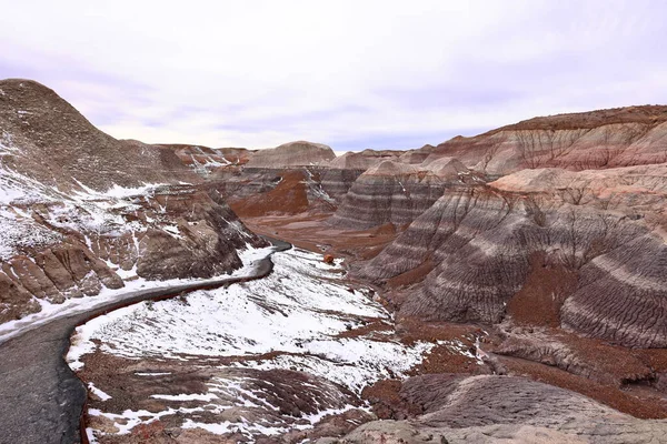 Blue Messa Spectical Trail Petrified Forest National Park アリゾナ州 アメリカ — ストック写真
