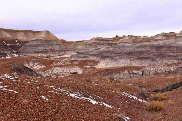 Blue Messa Spectical Trail Petrified Forest National Park アリゾナ州 アメリカ — ストック写真