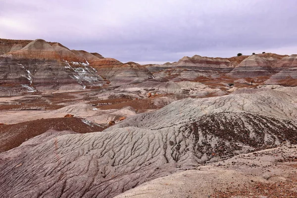 Blue Mesa Scenic Trail, Petrified Forest National Park, Arizona, ABD