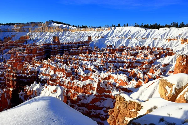 stock image Bryce Canyon National Park, a Park with natural amphitheater, many overlooks and trails in Utah, USA