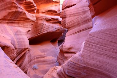 Aşağı Antilop Kanyonu Arizona, Page yakınlarındaki Navajo Reservation 'da doğal bir eğlence merkezi.