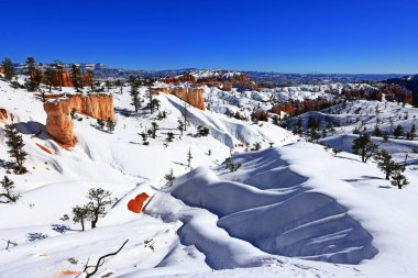 Bryce Canyon Ulusal Parkı, doğal amfitiyatrosu olan bir park, Utah, ABD 'de birçok bakış açısı ve patika.