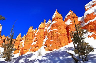 Bryce Canyon Ulusal Parkı 'ndaki Queens Garden Patikası, doğal amfitiyatrosuyla bir park, Utah, ABD' de birçok bakış açısı ve patika.