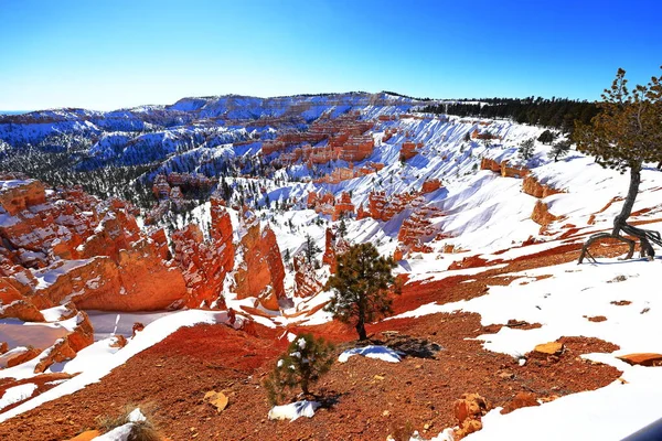 Queens Garden Trail Bryce Canyon National Park Park Natural Amphitheater — Stock Photo, Image