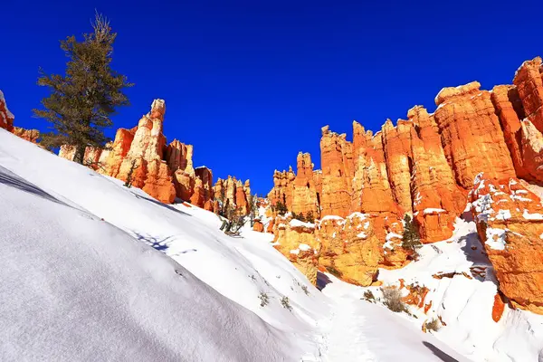 Bryce Canyon Ulusal Parkı 'ndaki Queens Garden Patikası, doğal amfitiyatrosuyla bir park, Utah, ABD' de birçok bakış açısı ve patika.