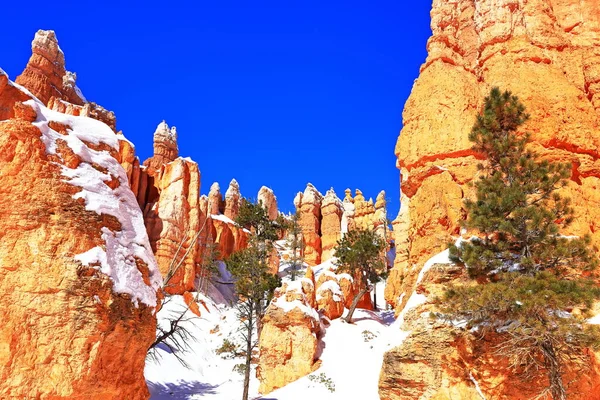 Queens Garden Trail Bryce Canyon National Park Park Natural Amphitheater — Stock Photo, Image