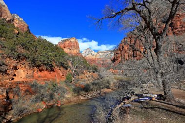 Zion Ulusal Parkı 'ndaki dağların manzarası, Springdale, Utah, ABD
