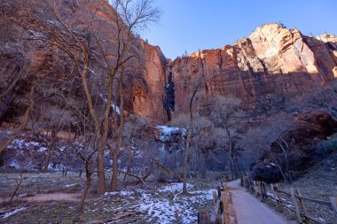 Zion Ulusal Parkı 'ndaki dağların manzarası, Springdale, Utah, ABD