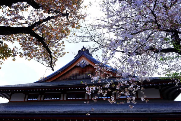 Yasukuni Jinja Santuário Estilo Xintoísta Com Flor Cereja Primavera Sakura — Fotografia de Stock