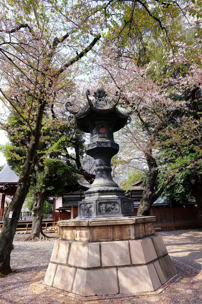 日本东京千代市的靖国神社 神社风格的神龛 开着春天的樱花 — 图库照片