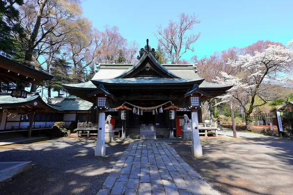 日本の富士吉田にある富士山三宮大三郎神社で桜 さくら — ストック写真