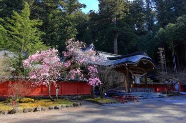 Nikko Futarasan jinja (8. yüzyıldan kalma Shinto türbesi) Japonya 'nın Nikko kentinde.