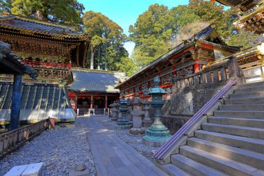 Toshogu Tapınağı (17. yüzyılda Japonya 'nın Nikko kentindeki ilk Shogun ve renkli binaların onuruna yapılan türbe).