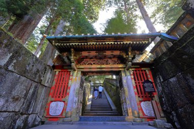 Toshogu Tapınağı (17. yüzyılda Japonya 'nın Nikko kentindeki ilk Shogun ve renkli binaların onuruna yapılan türbe).