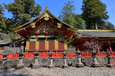 Toshogu Tapınağı (17. yüzyılda Japonya 'nın Nikko kentindeki ilk Shogun ve renkli binaların onuruna yapılan türbe).