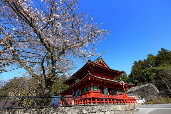 Templo Nikkozan Rinnoji Complexo Budista Com Renomado Salão Madeira Nikko — Fotografia de Stock