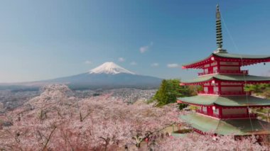 Dağın manzarası. Fuji ve kiraz çiçeği (sakura) baharda Japonya 'nın Fujiyoshida kentindeki Arakura Fuji Sengen Tapınağı' ndan