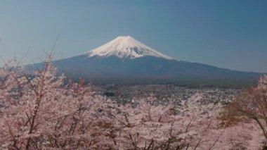 Dağın manzarası. Japonya 'nın Fujiyoshida kentindeki Arakurayama Sengen Park' ından ilkbaharda kiraz çiçekli Fuji (sakura)