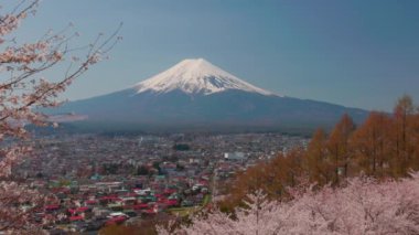 Dağın manzarası. Japonya 'nın Fujiyoshida kentindeki Arakurayama Sengen Park' ından ilkbaharda kiraz çiçekli Fuji (sakura)